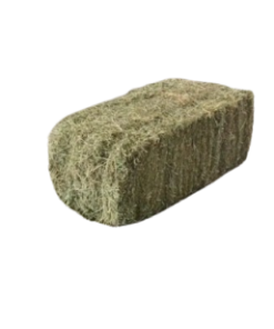 Alfafa Hay Animal Feeding Stuff