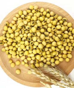 High Protein Yellow Soybean/Soy Bean for Animal Feed