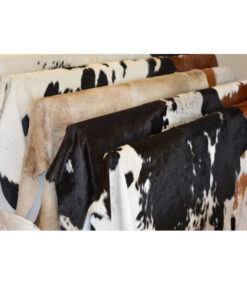 Wet Salted Cowhide Wet Salted Cow Leather From Vietnam.