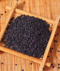 Raw Sesame Seeds Wholesale Natural