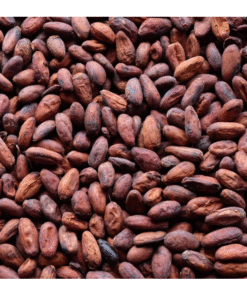 Cocoa Beans / Cocoa Seeds and Cocoa