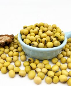 Soybean Grade 1 Cheap Soybean Wholesale