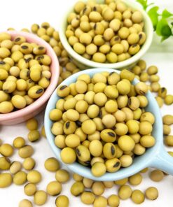 Good Quality Soy Beans Raw, Grain in Bags Organic Bulk