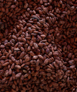 Hacienda Cacao Beans